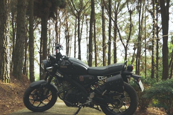 A black motorcycle is parked on a path surrounded by tall pine trees in a forest. The sunlight filters through the branches, casting dappled shadows on the ground. The scene appears tranquil and secluded, providing a sense of adventure and connection with nature.