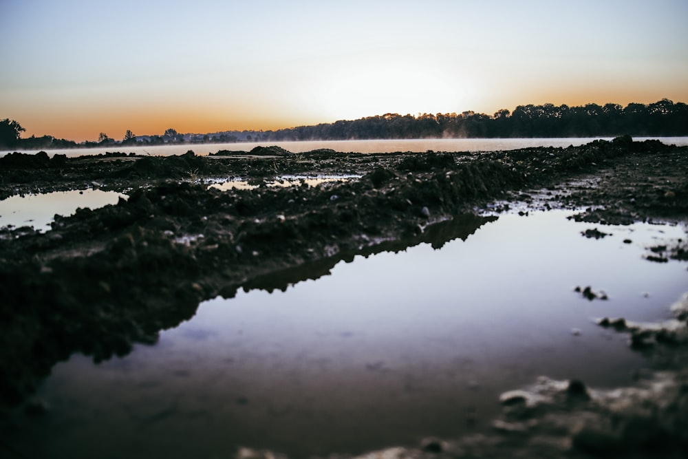 a body of water surrounded by land and trees