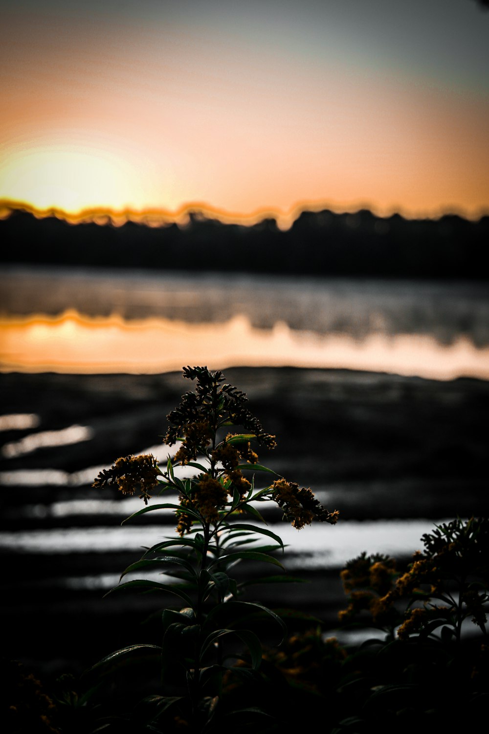 the sun is setting over a body of water