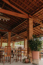 Outdoor seating area with rustic wooden furniture surrounded by Mediterranean plants.