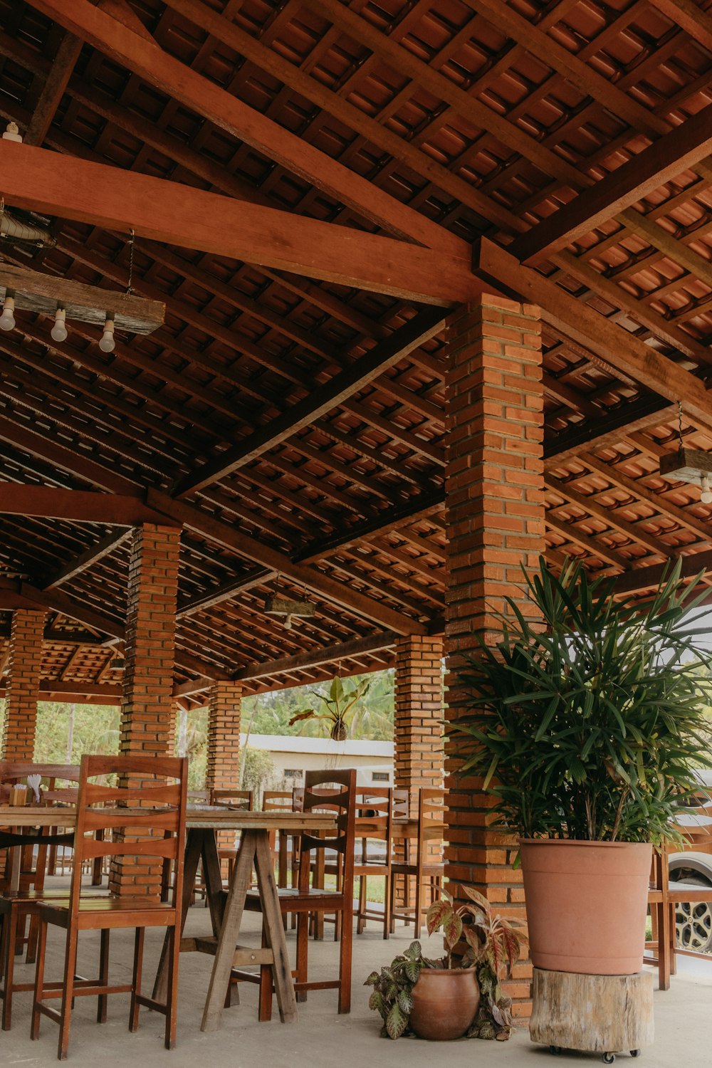 a patio with a potted plant and wooden chairs