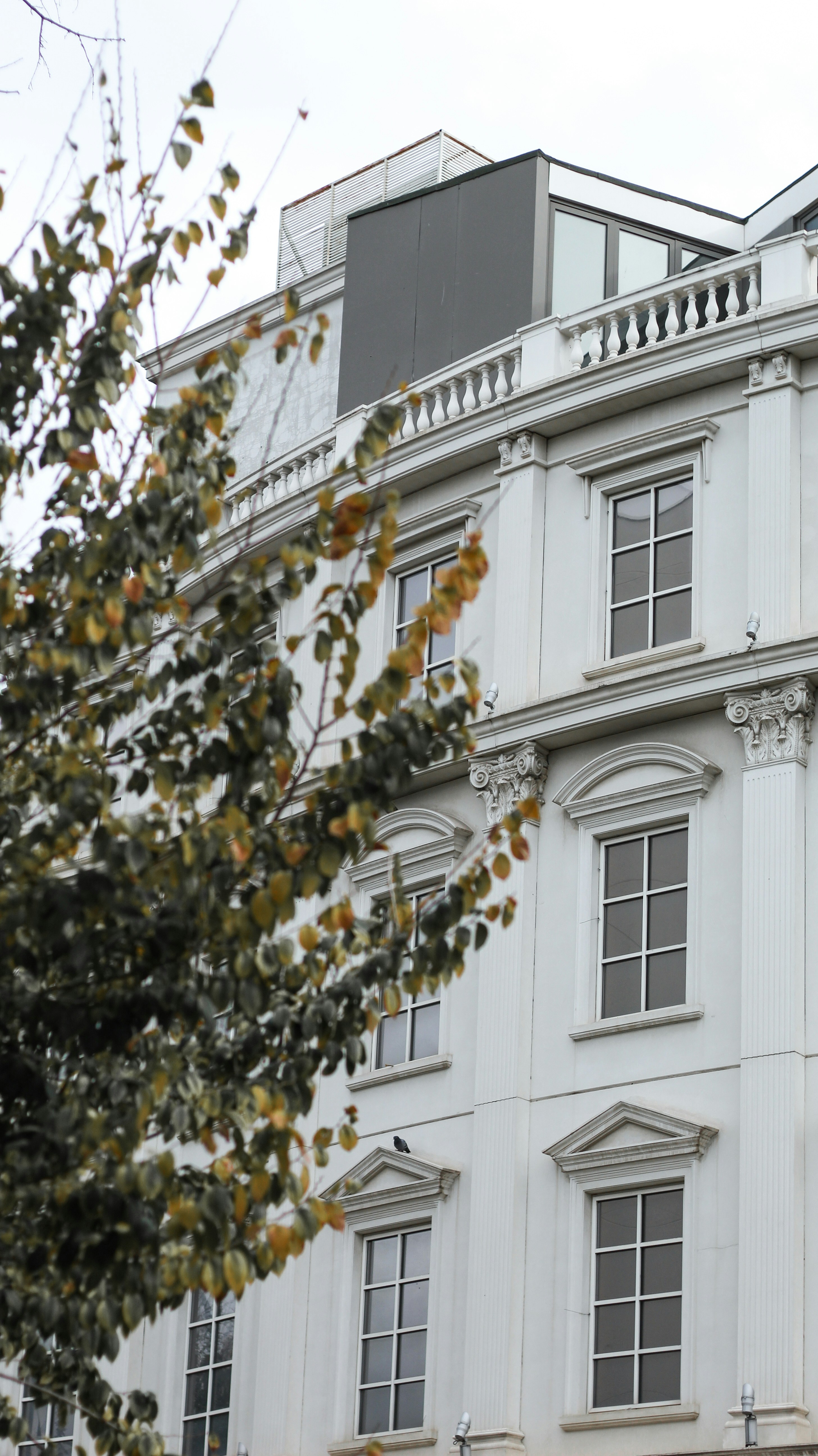 Photo by esrakorkmaz