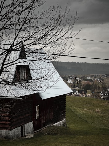A rustic wooden house with a metal roof is situated in a rural landscape. Bare tree branches are seen in the foreground, partially obscuring the view. In the background, a village with several houses spreads across a gently rolling hill under an overcast sky, giving a sense of serenity and isolation.