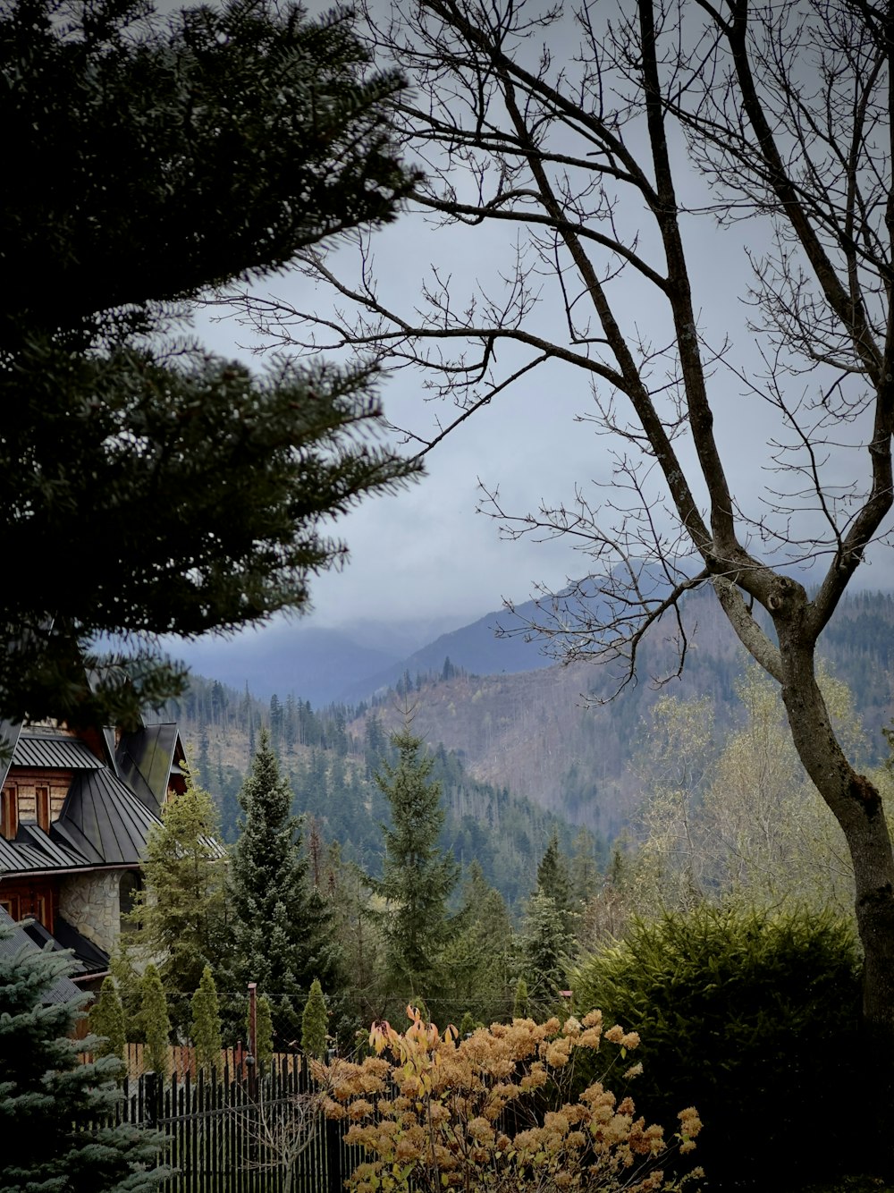 a view of a mountain with a house in the distance