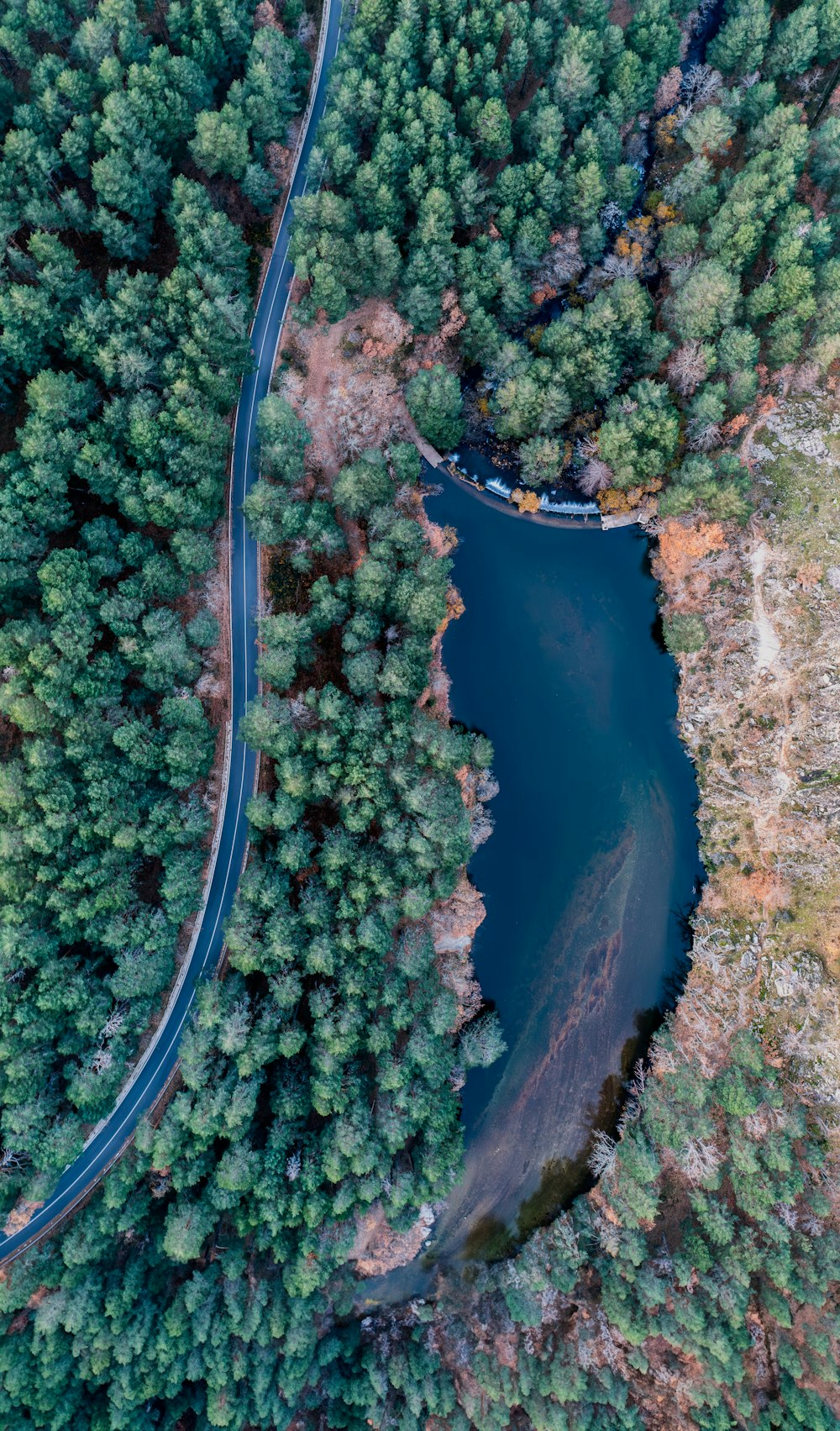 an aerial view of a road winding through a forest