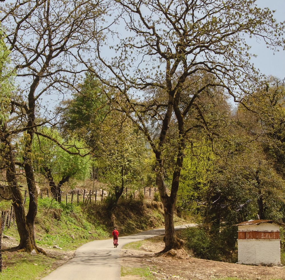 a person riding a bike down a tree lined road