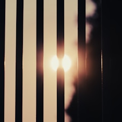 The sun is seen through vertical window blinds, casting shadows and creating a warm glow. The sunlight is diffused through the slats, and a soft gradient of light and shadow is present.