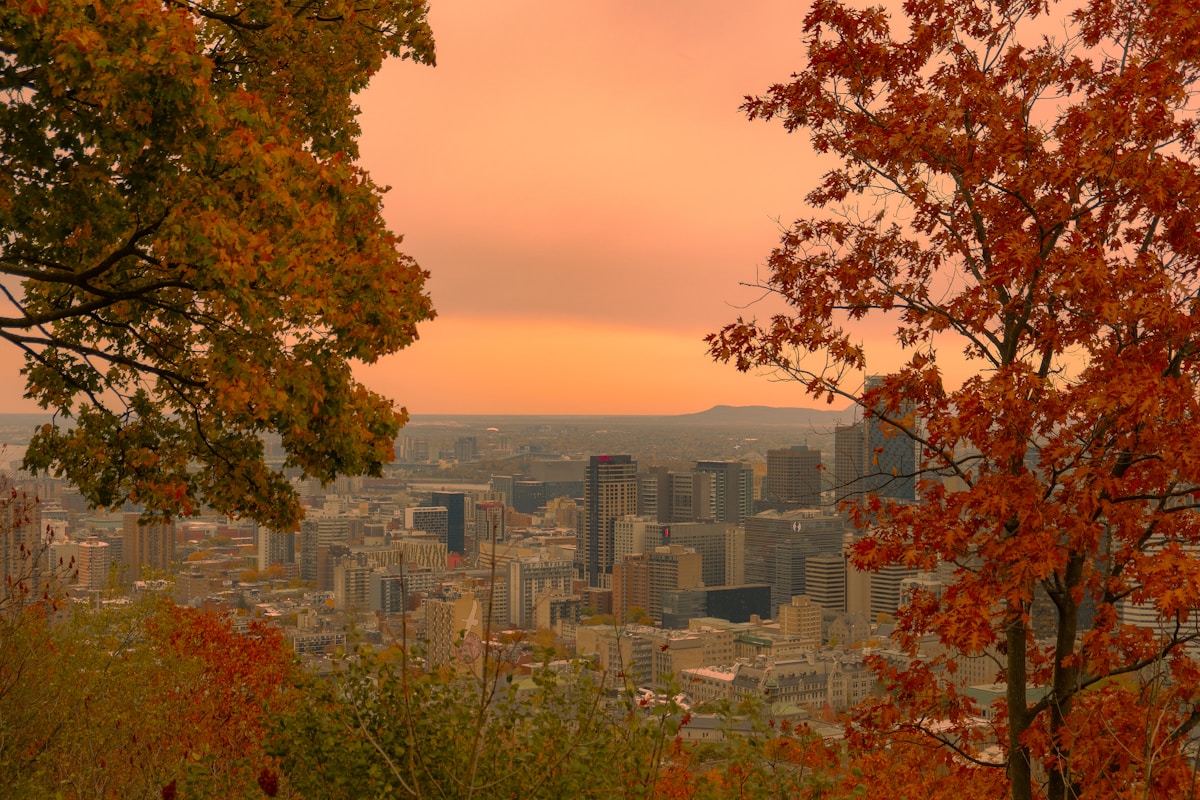 Mon premier article en français