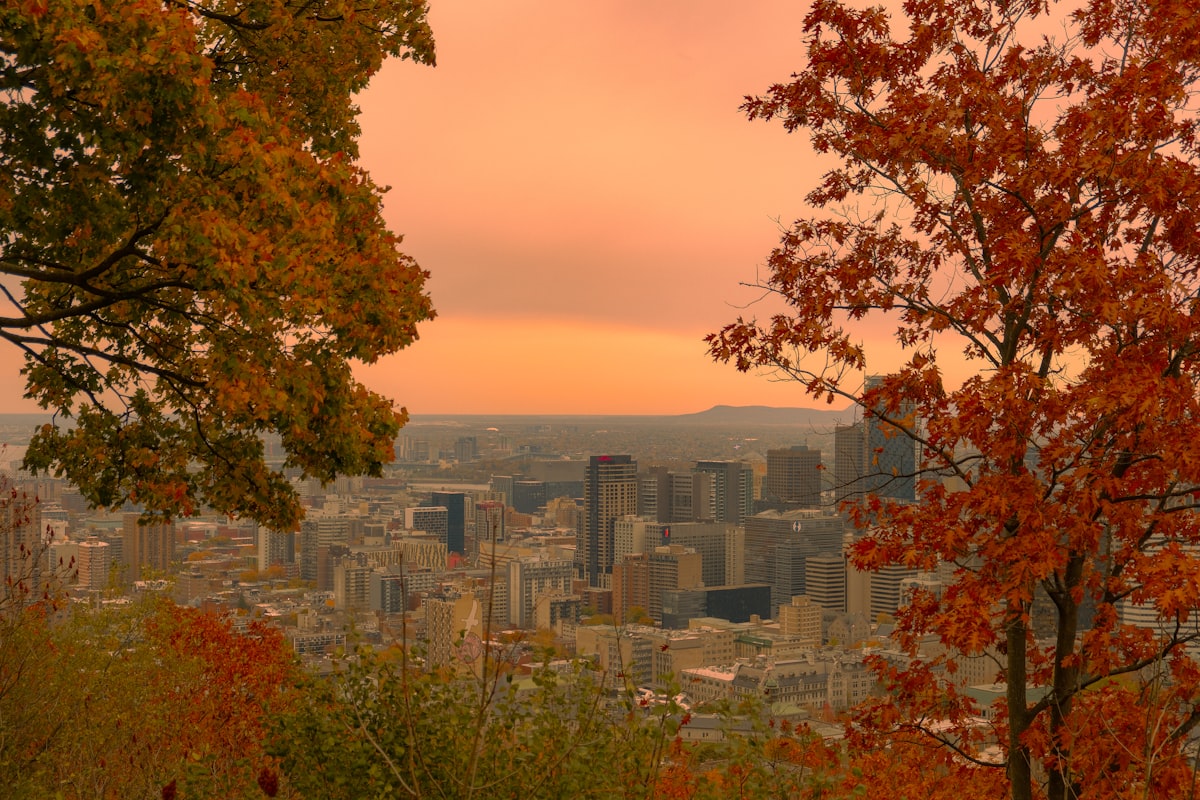 Montreal in peak autumn with red and gold foliage on Mount Royal