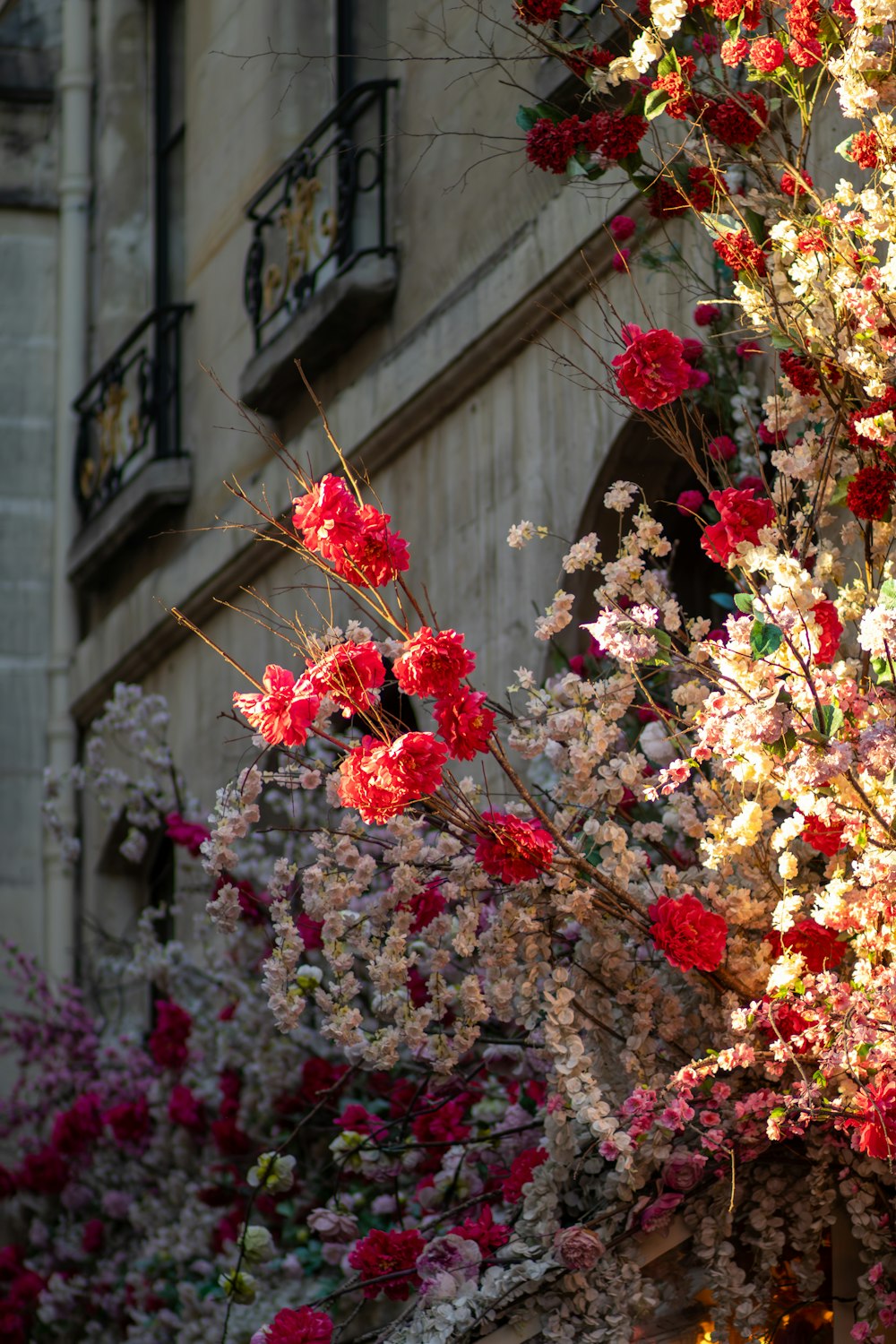 a bunch of flowers that are in front of a building