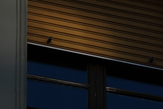 Close-up of durable aluminum blinds with colorful finishes on a commercial building.