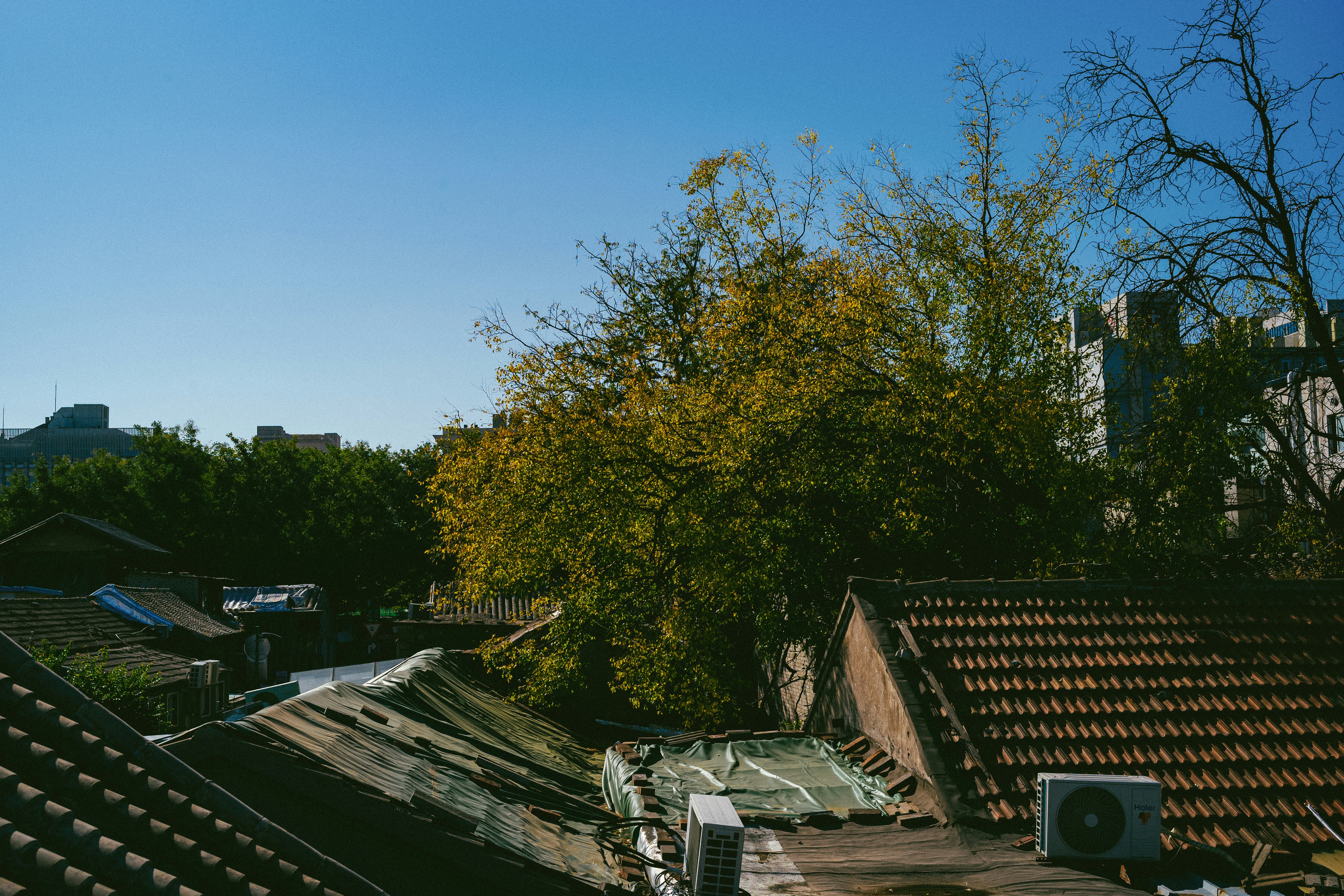 Photo by tommaomaoer