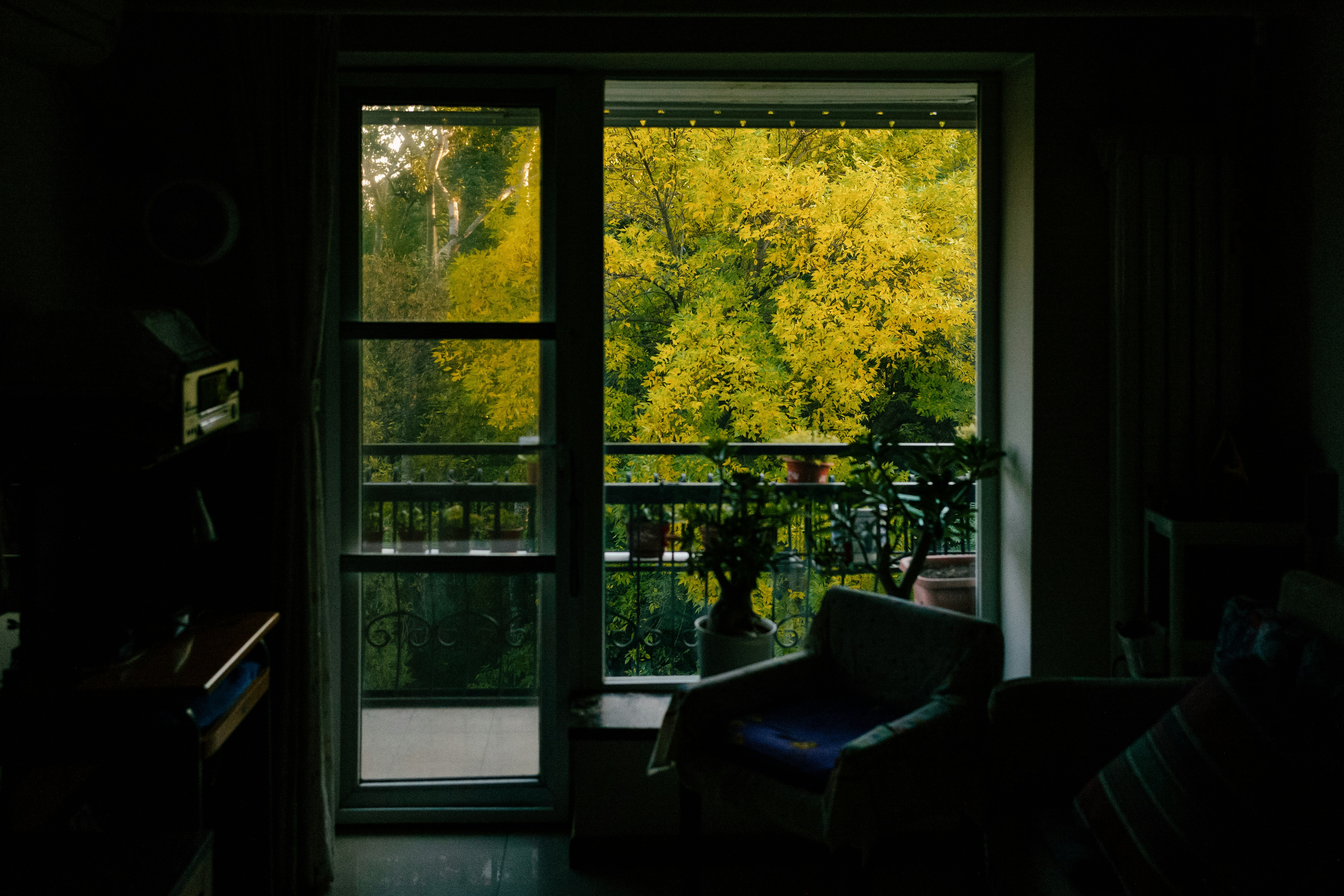 Photo by tommaomaoer