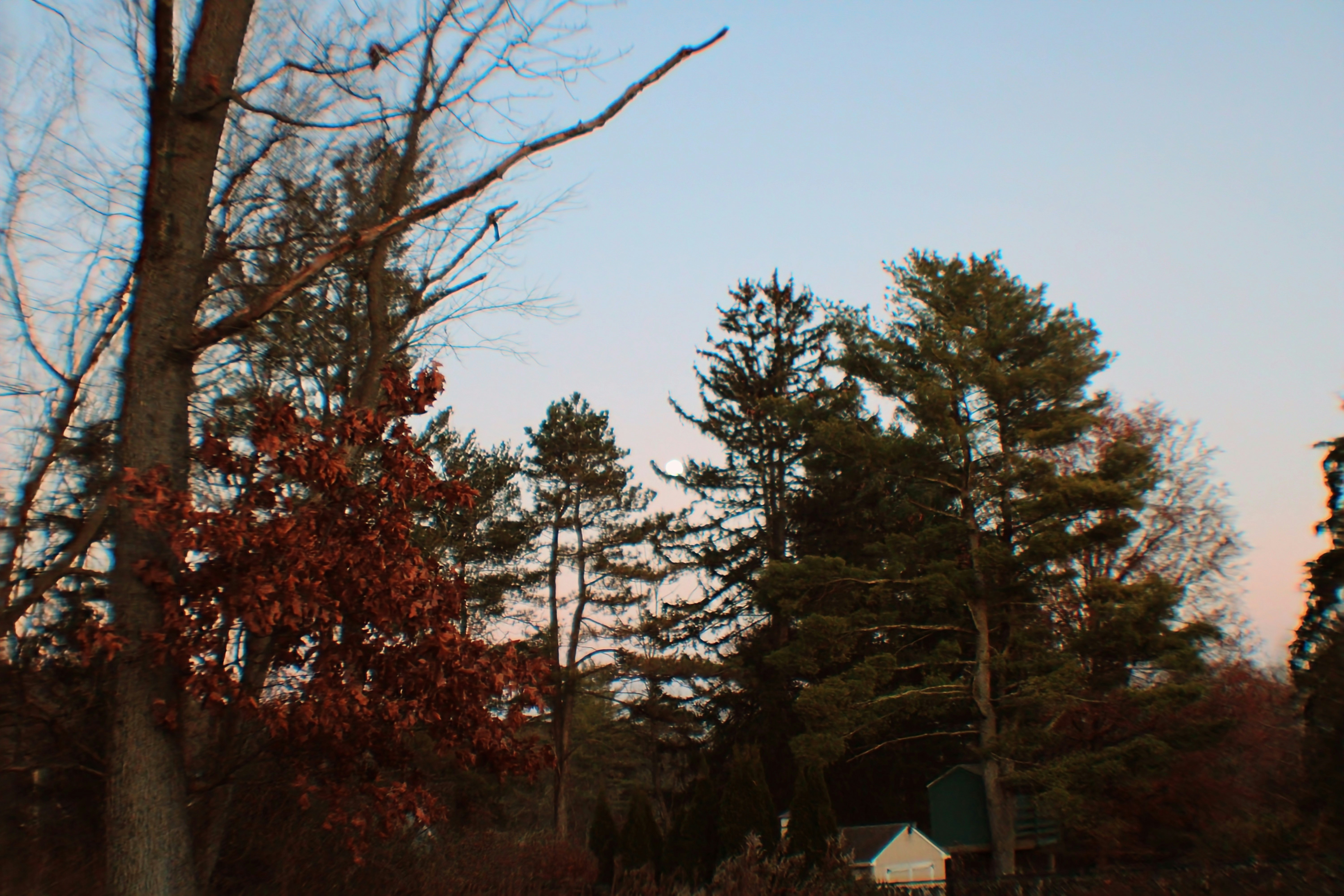 Photo by alyssacoulter12