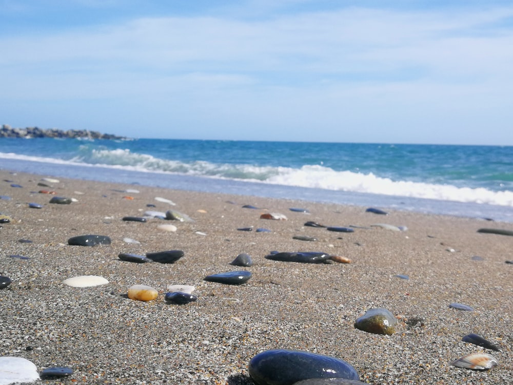 a bunch of rocks that are on a beach