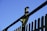 A wooden fence with vertical slats is shown against a clear blue sky. There is a birdhouse mounted on the top of the fence.
