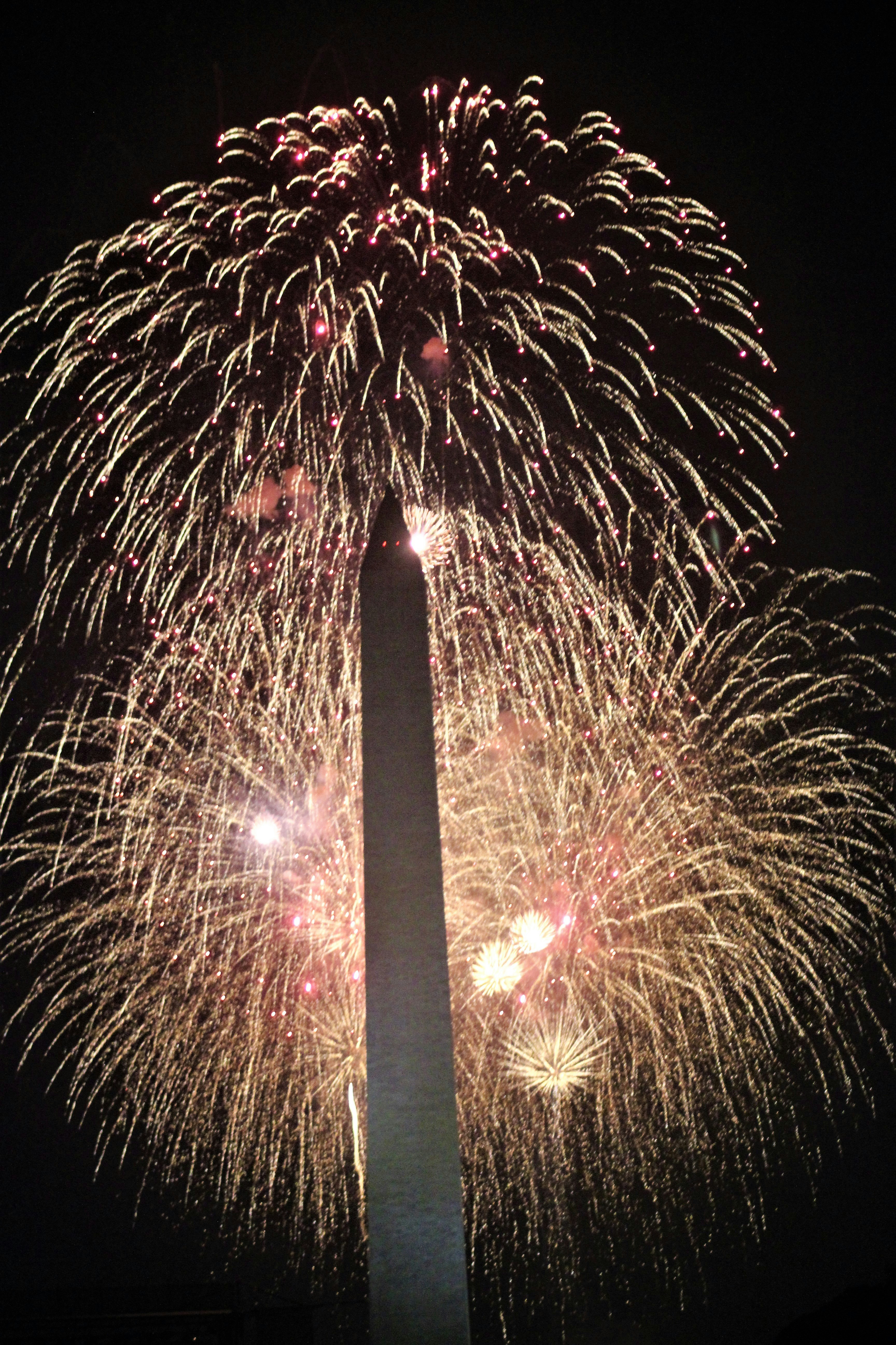 fireworks light up the sky above the washington monument