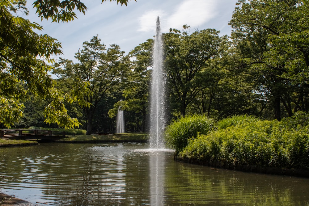 a water fountain in the middle of a pond