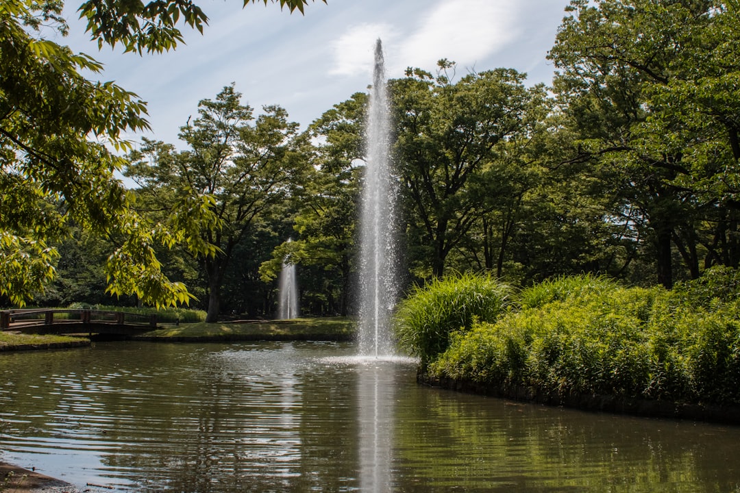 a water fountain in the middle of a pond, water fountains in the middle of a lake