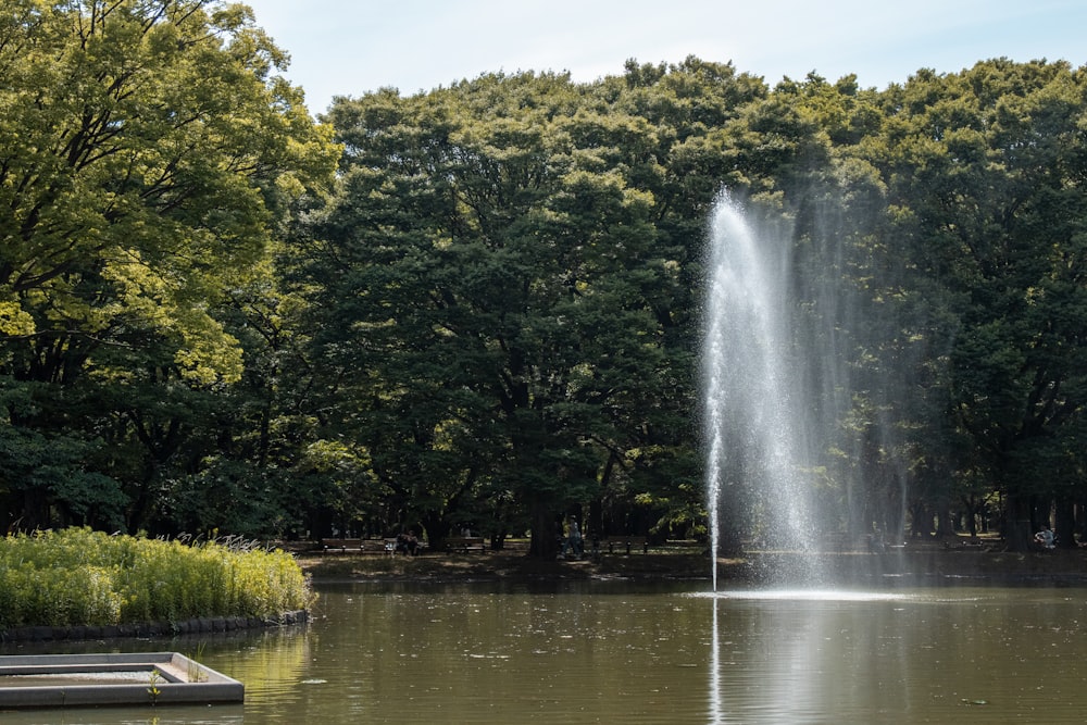 una fuente que arroja agua a un lago rodeado de árboles