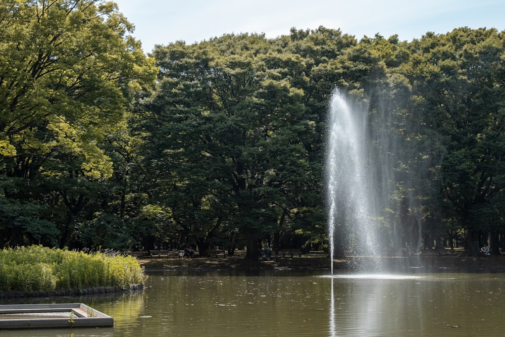 a fountain spewing water into a lake surrounded by trees