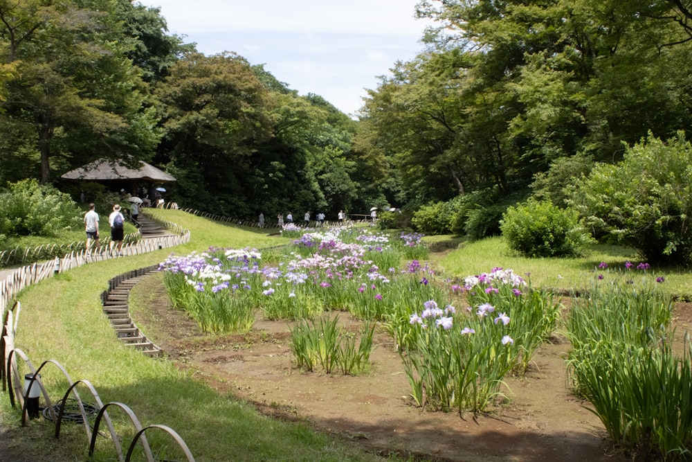 a group of people walking through a lush green park