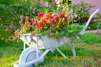 A vibrant display of various wheelbarrows and lawn carts.