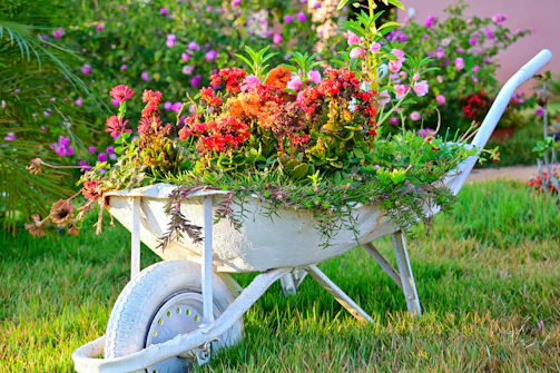 A vibrant display of various wheelbarrows and lawn carts.