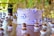 A beautifully decorated purple cake with delicate butterfly decorations and small white sugar pearls on top. The cake is placed on a wooden table surrounded by numerous small chocolate confections, each in a white paper cup. The background features blurred green foliage, creating a natural and serene setting.