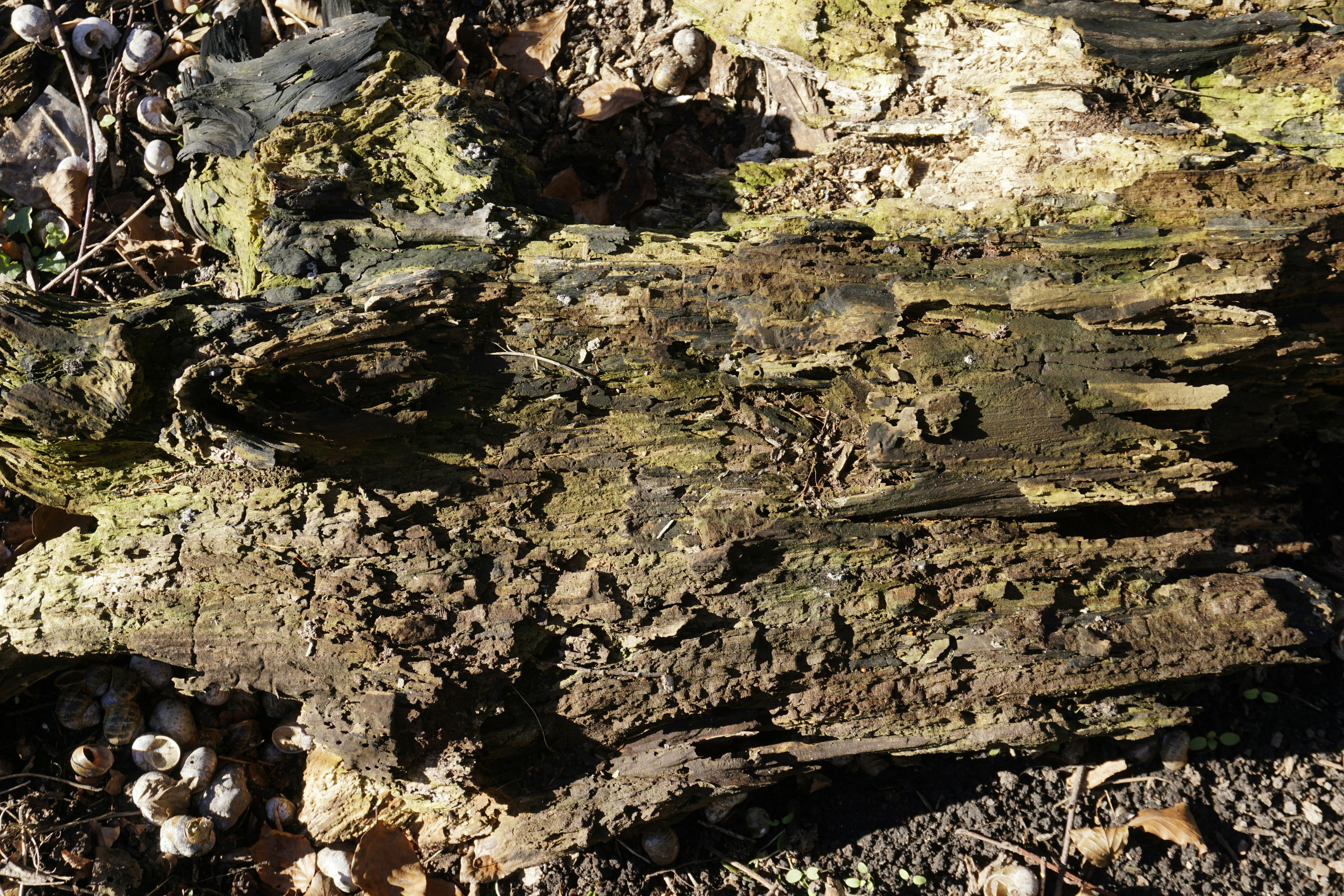 How to Declutter Your Cloud: Data Lifecycle Policies and Gentle Workflows for Teams (2026)