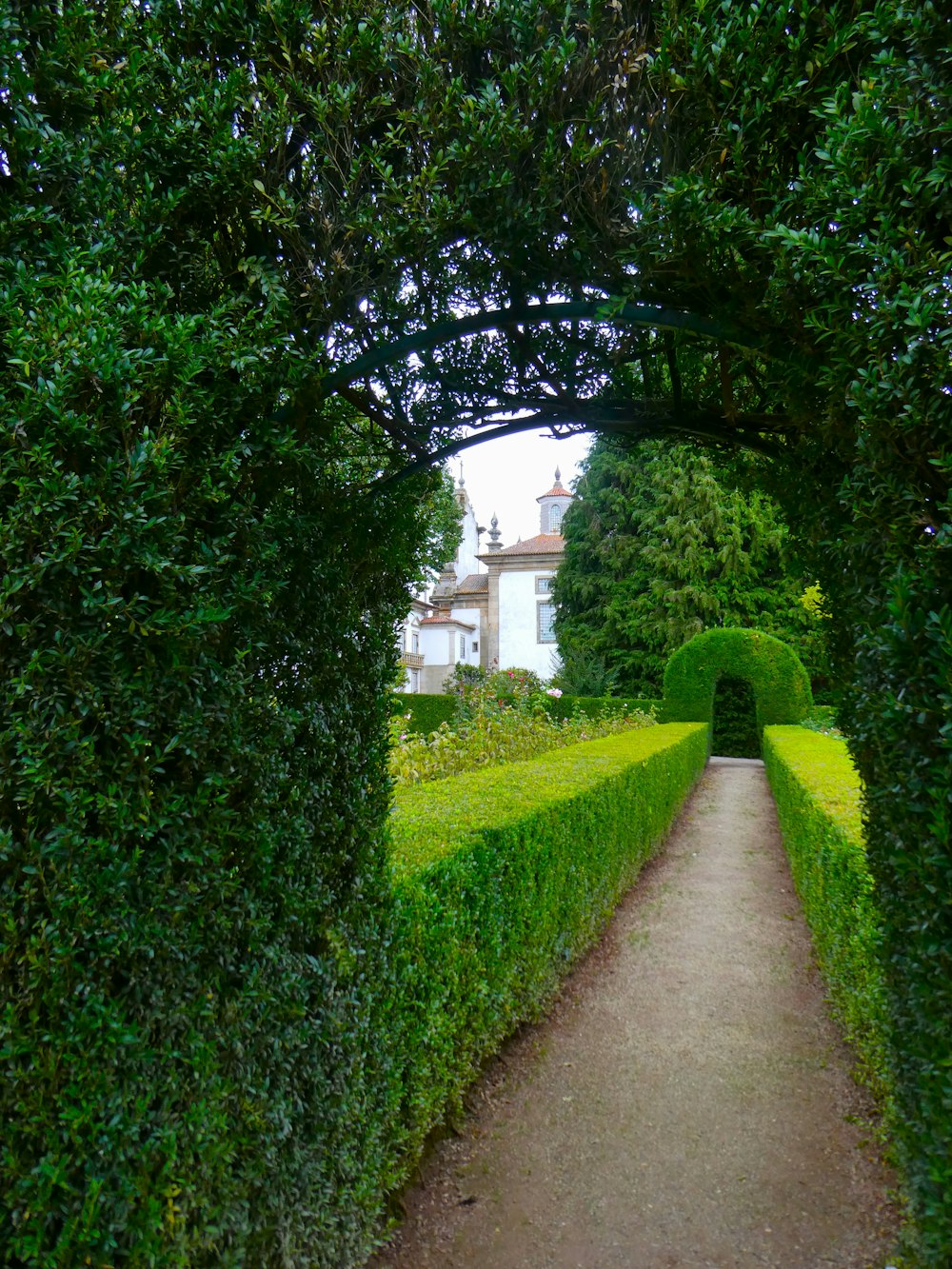 a path between two hedges leading to a house