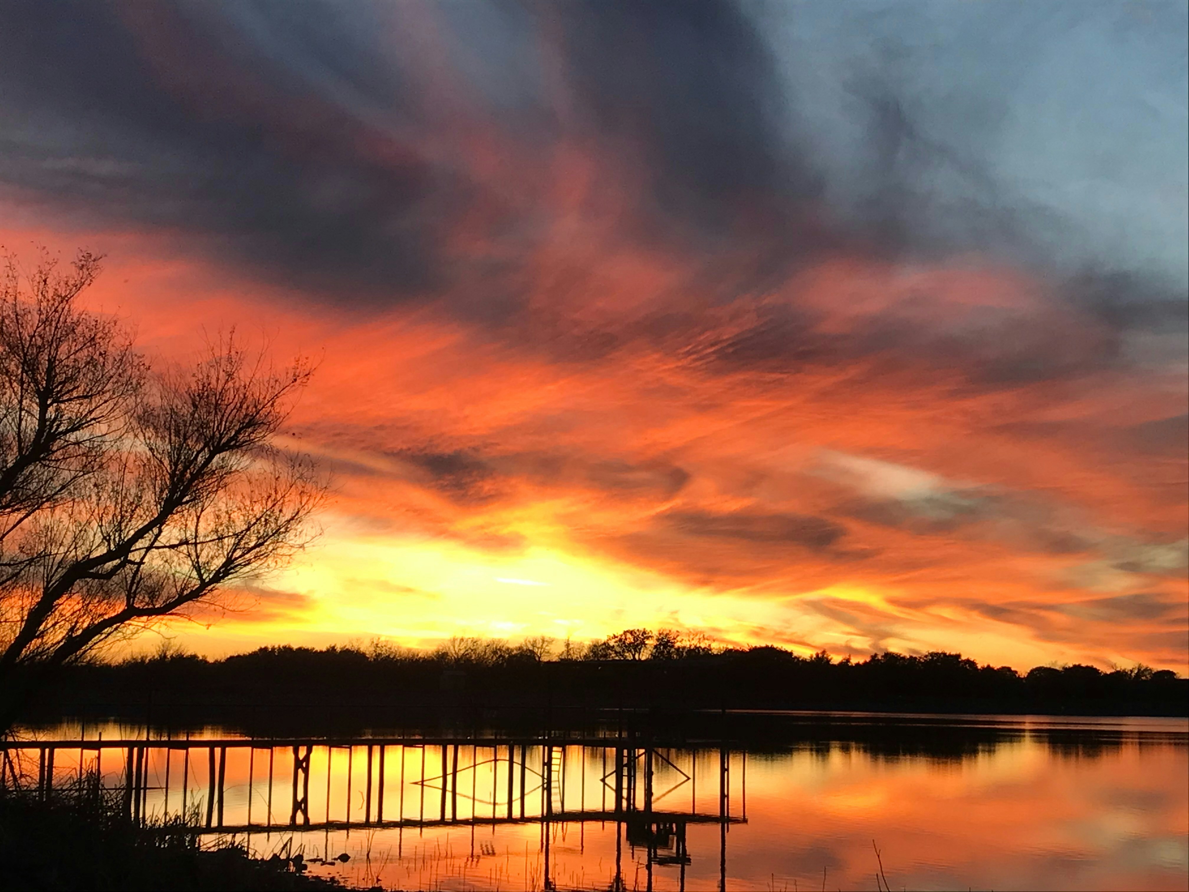 a sunset over a body of water with a tree in the foreground