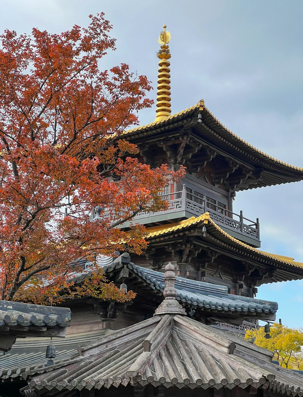 a tall building with a golden roof and a tree in the background