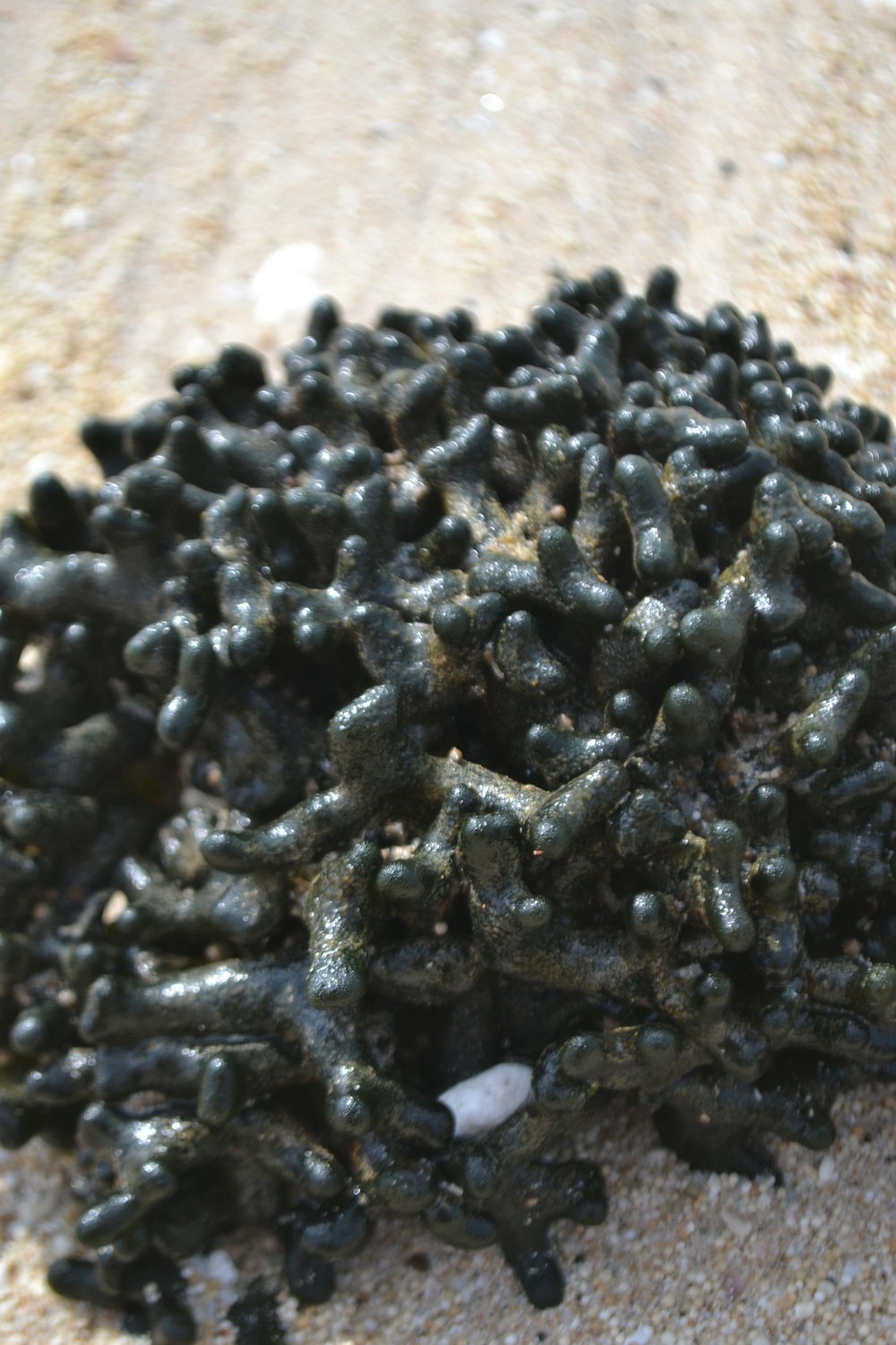 a pile of black rocks sitting on top of a sandy beach