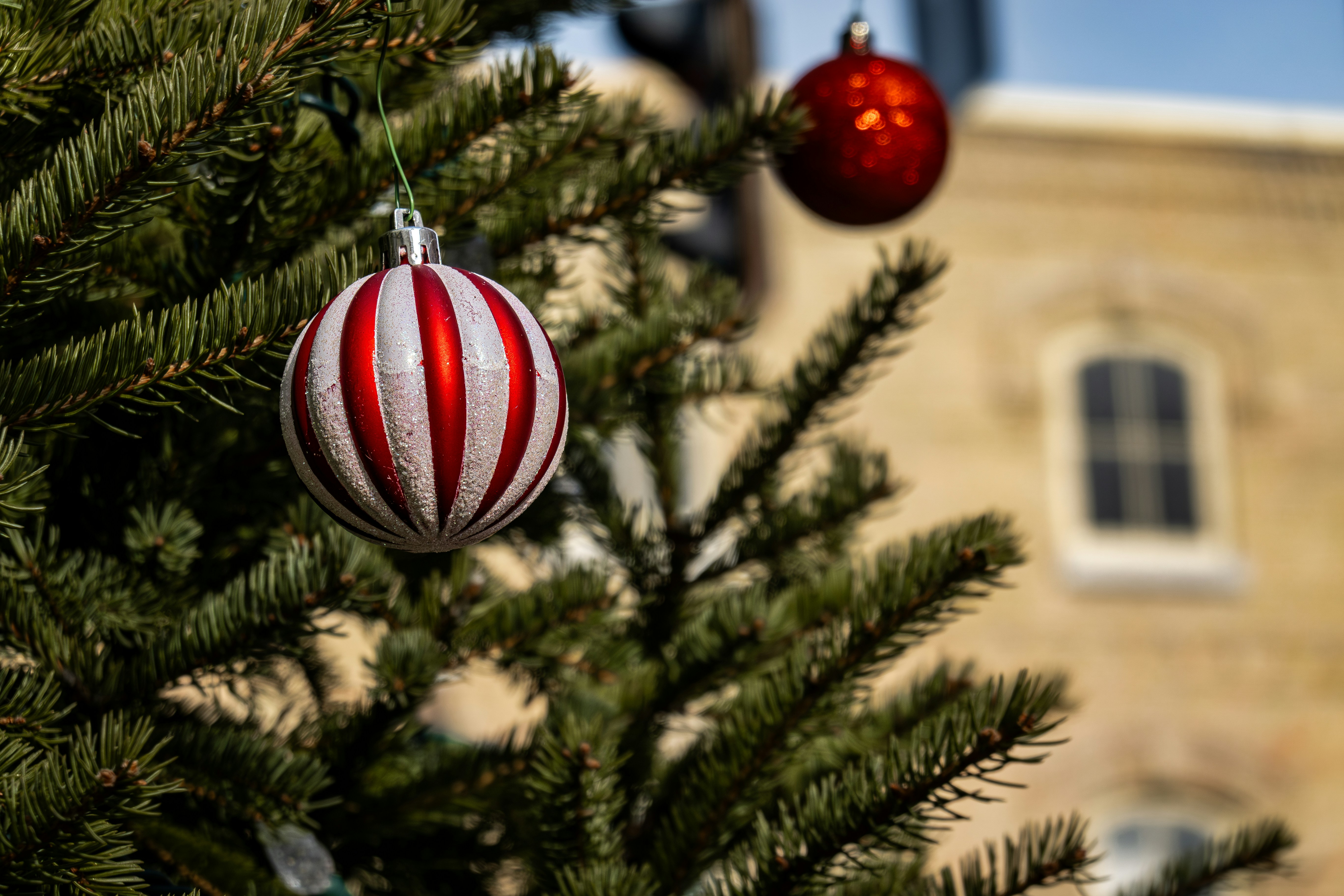 a red and white ornament hanging from a christmas tree
