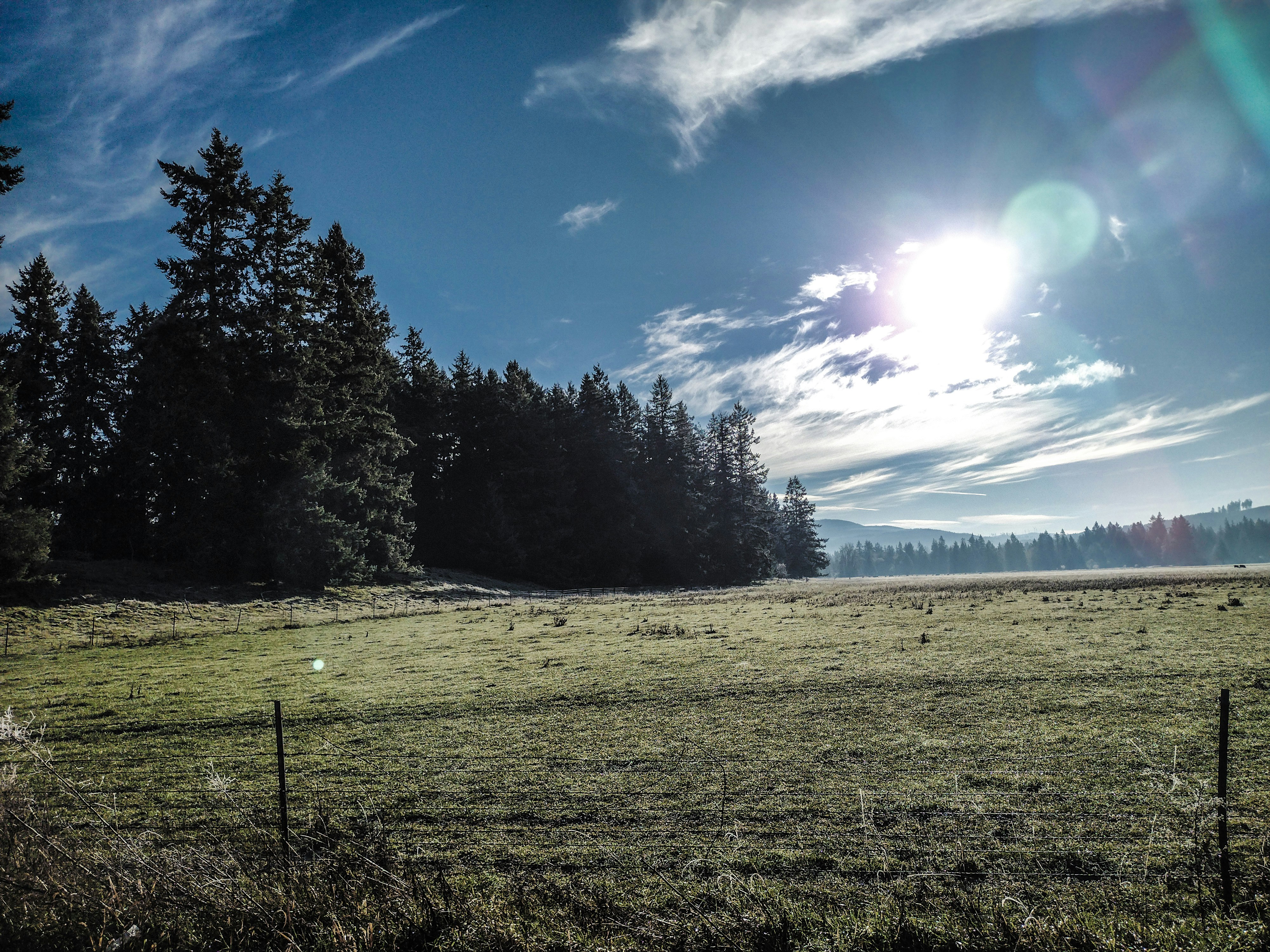 Photo by prphotography262