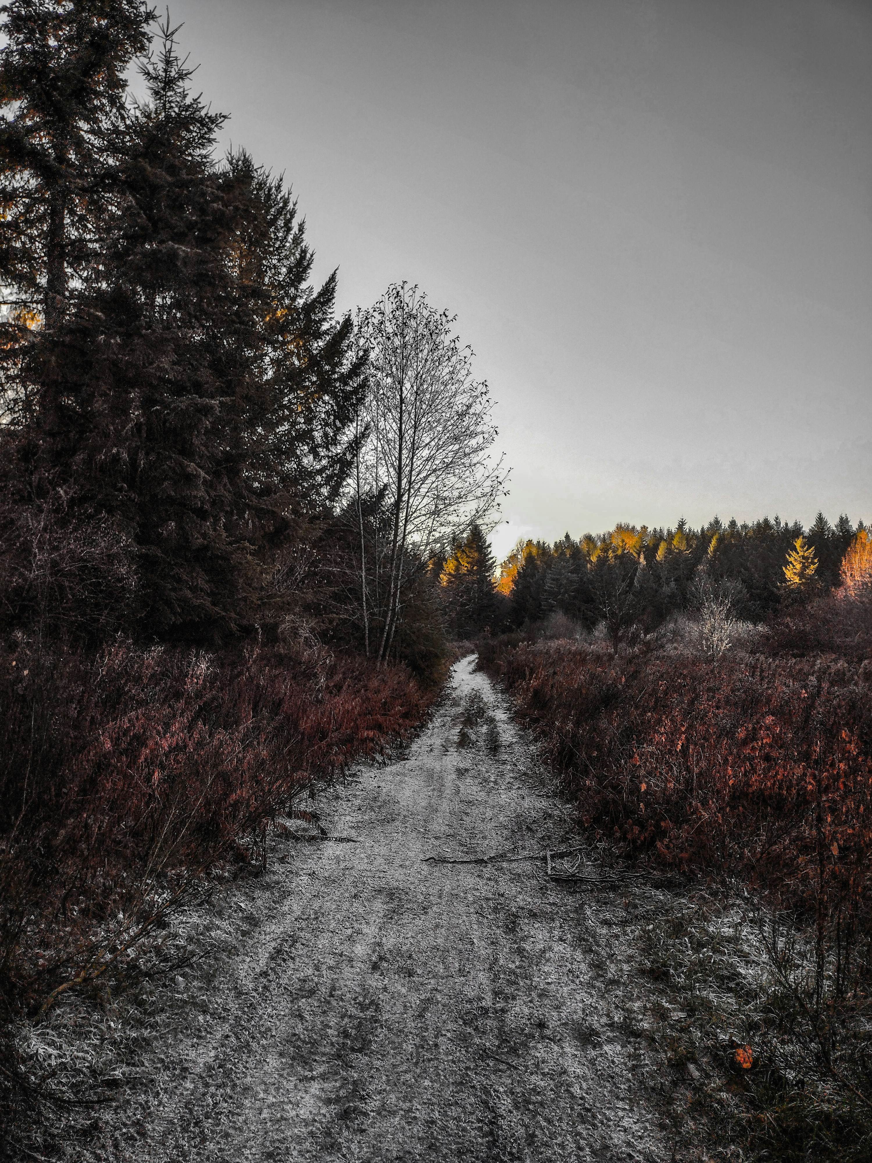 Photo by prphotography262