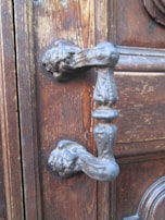 A sleek modern door handle mounted on a stylish wooden door.