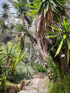 Lush garden pathway with vibrant tropical plants and peaceful seating area.