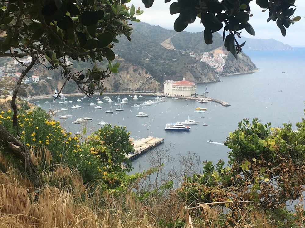 a harbor filled with lots of boats on top of a lush green hillside