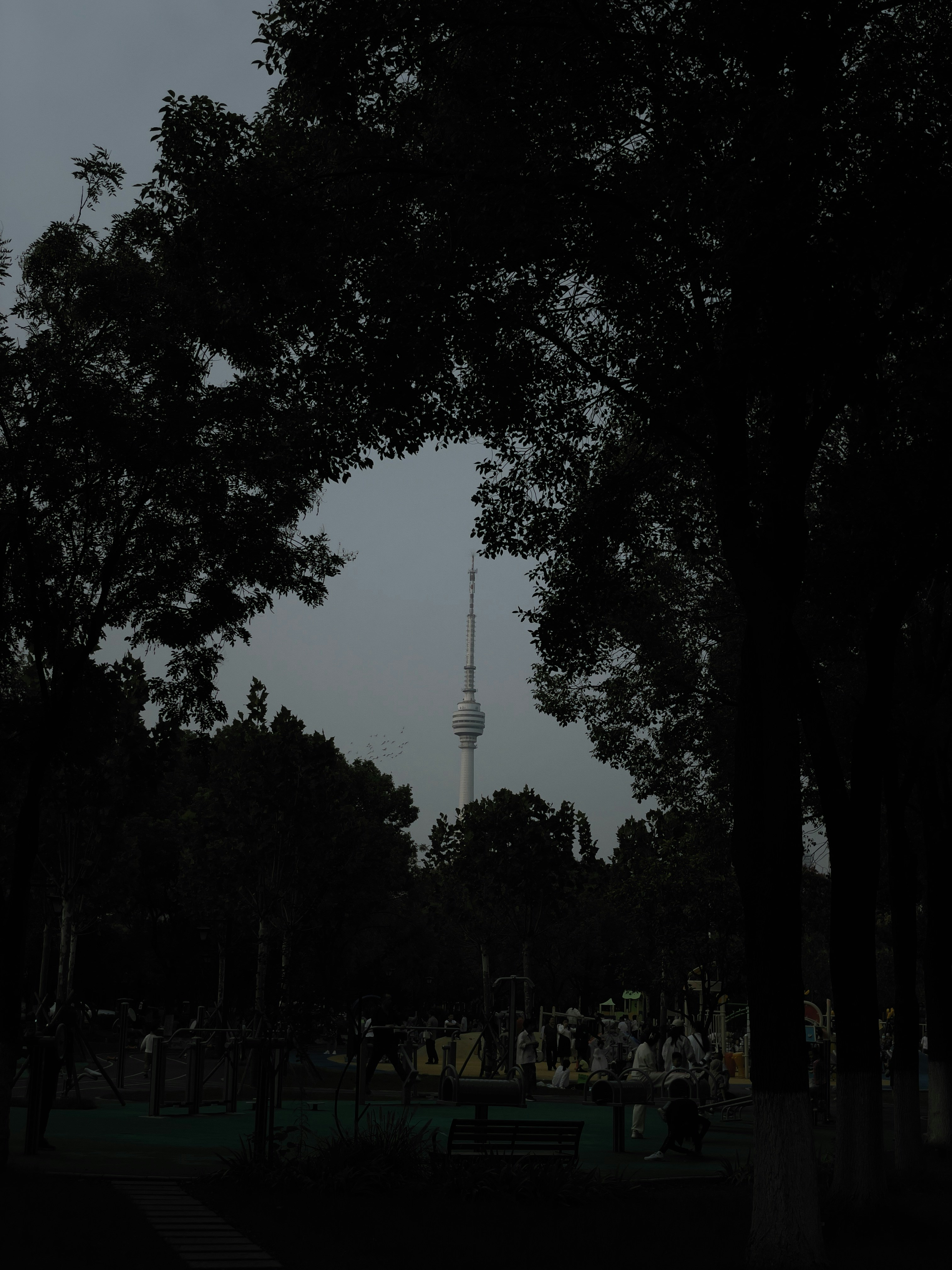 une image sombre d’un parc avec une tour en arrière-plan