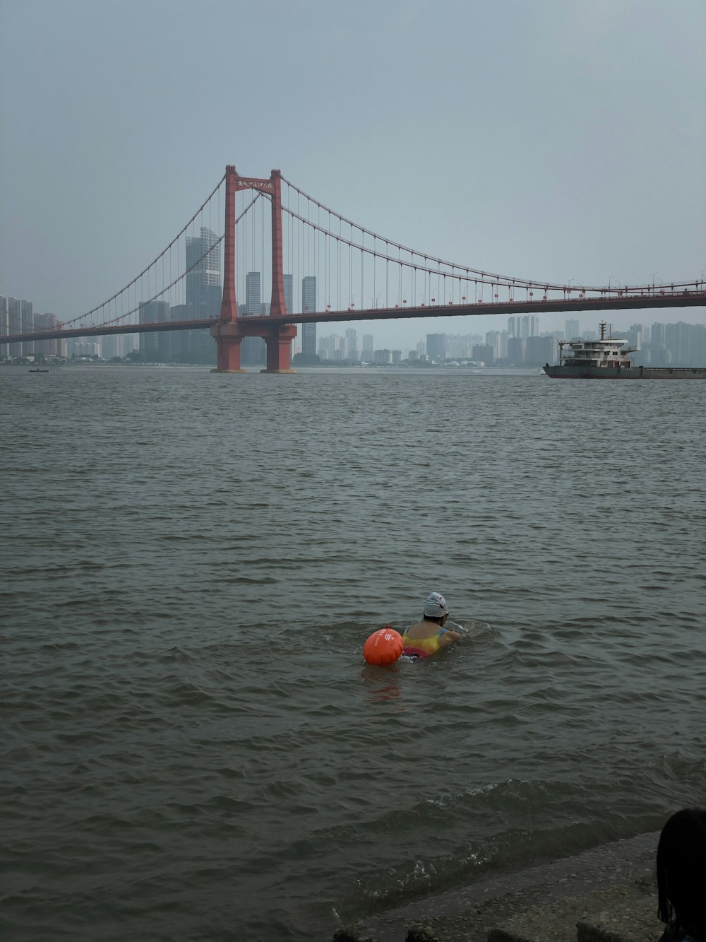 a body of water with a bridge in the background