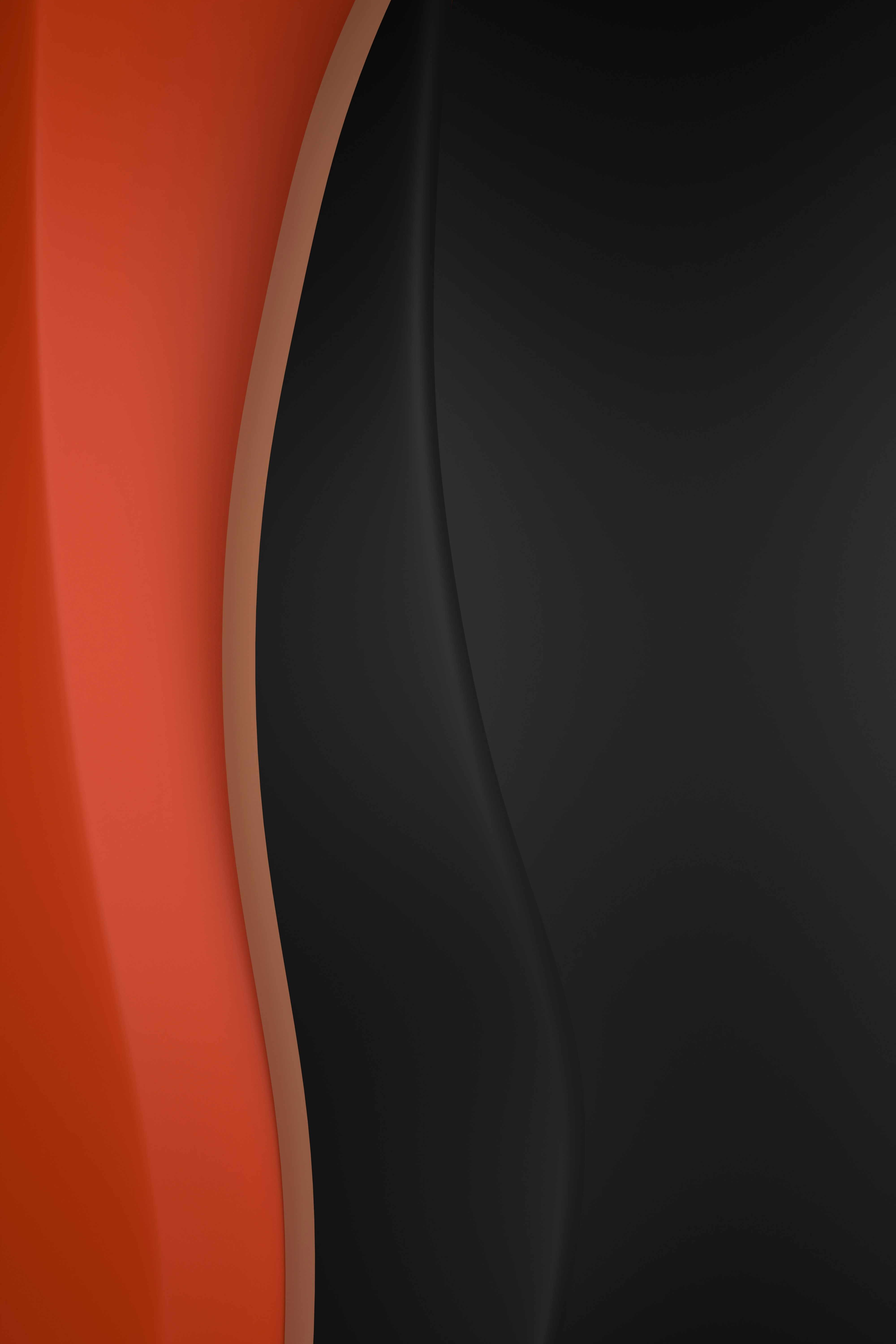 Photo by blenderdesigner