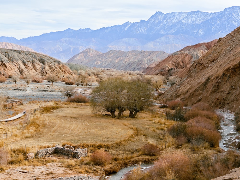 a river running through a dry grass covered valley