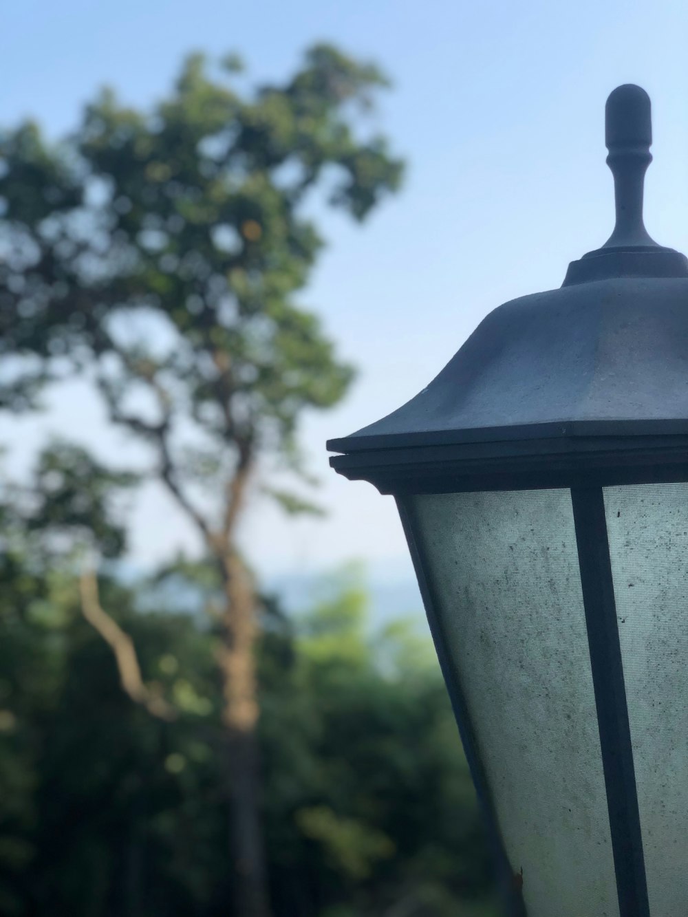 a street light with a tree in the background