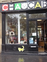 A pet store window display featuring various pet products such as scratching posts, pet food, and toys. The signage above the window has a playful design with colorful letters and a cat face within a letter. There is a poster on the door advertising a promotion. The weather appears overcast with some reflections on the wet pavement.