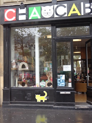 A pet store window display featuring various pet products such as scratching posts, pet food, and toys. The signage above the window has a playful design with colorful letters and a cat face within a letter. There is a poster on the door advertising a promotion. The weather appears overcast with some reflections on the wet pavement.