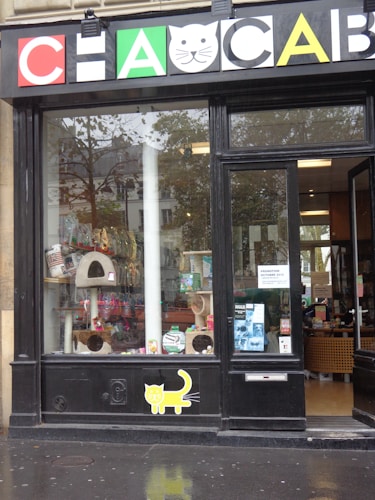A pet store window display featuring various pet products such as scratching posts, pet food, and toys. The signage above the window has a playful design with colorful letters and a cat face within a letter. There is a poster on the door advertising a promotion. The weather appears overcast with some reflections on the wet pavement.