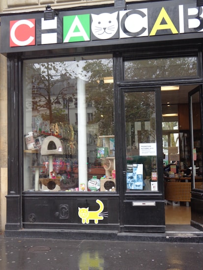 A pet store window display featuring various pet products such as scratching posts, pet food, and toys. The signage above the window has a playful design with colorful letters and a cat face within a letter. There is a poster on the door advertising a promotion. The weather appears overcast with some reflections on the wet pavement.