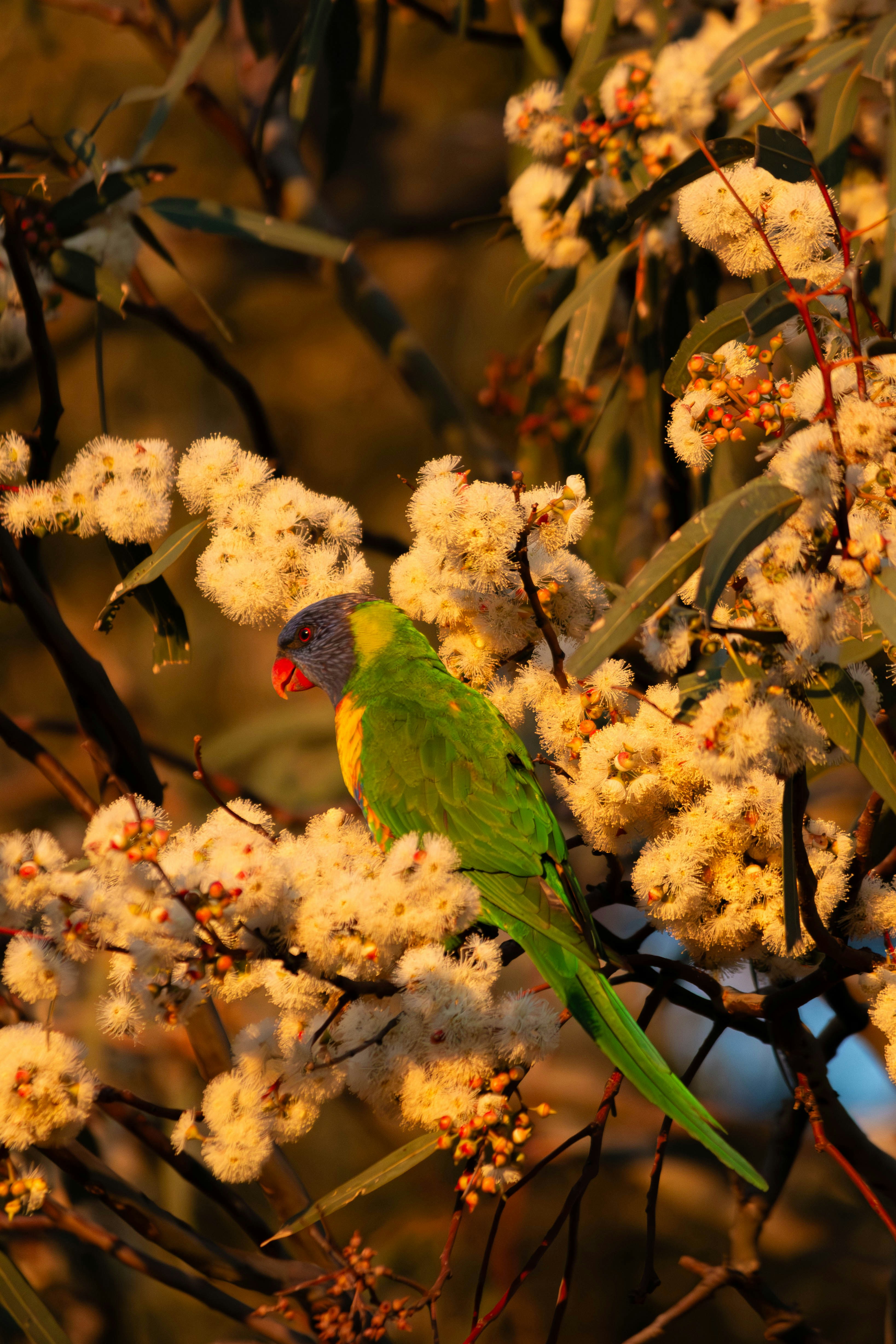 Photo by henriqueluis